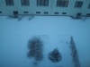 雪1