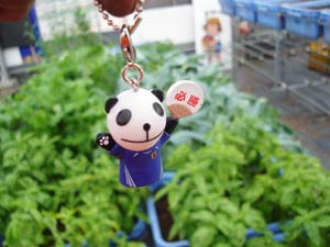 生茶でパンダ