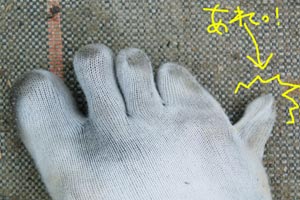 指どこかなぁ〜????