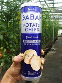 ガバンのポテトチップス