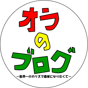先着10名
