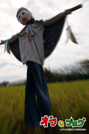 かかし