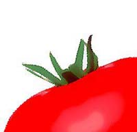 aa