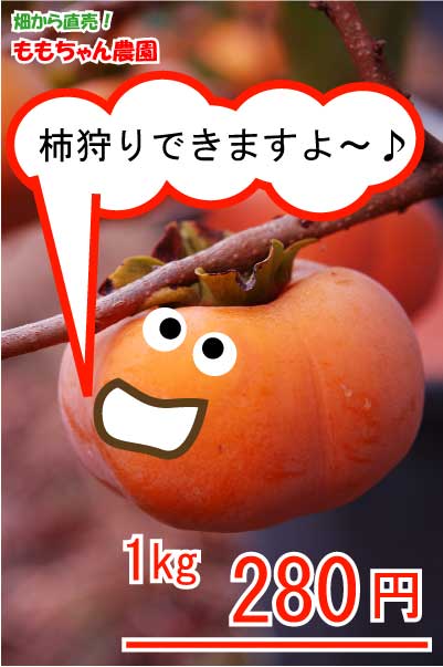 柿