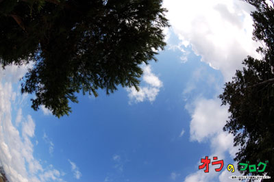 おらぶろ