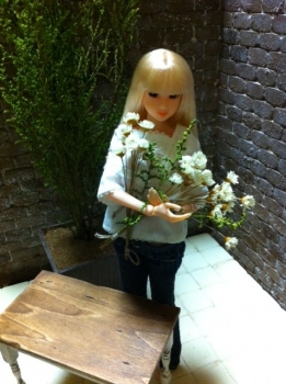 1/6 ドールハウス momoko ブライス レンガ 背景