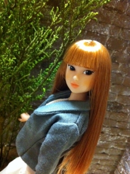 1/6 ドールハウス momoko ブライス レンガ 背景