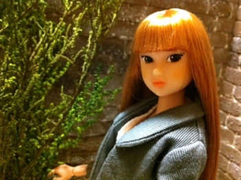 1/6 ドールハウス momoko ブライス レンガ 背景