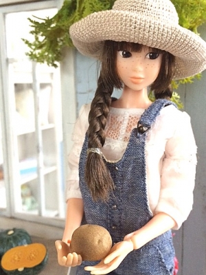 ドールハウス momoko モンチッチパープル2