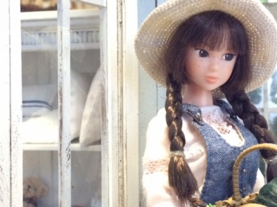 ドールハウス momoko モンチッチパープル2