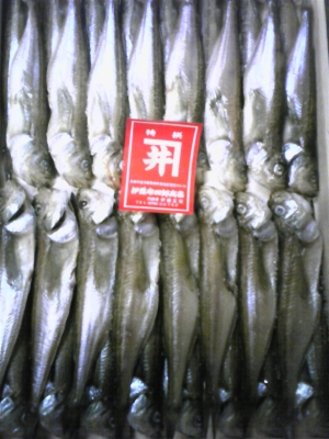 ハタハタ 2kg