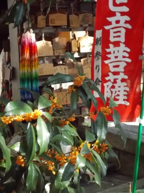 はるべ harube バッグ 財布 池坊 六角堂 金木犀