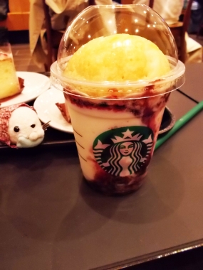 はるべ harube ハナミズキ