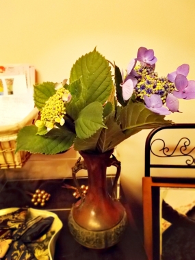はるべ harube 紫陽花