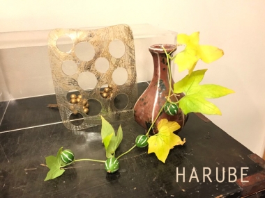 はるべ Harube スズメウリ