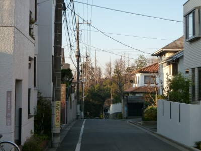 P1010177.JPG