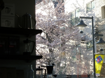 P1010192.JPG