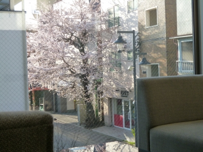 P1010200.JPG