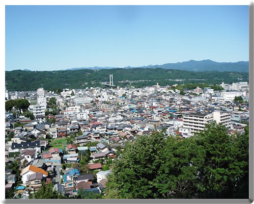 羊山から市内を望む