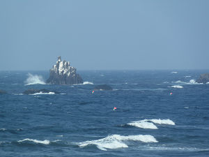 海1