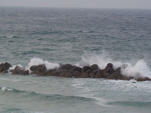 海