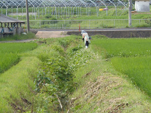 川5