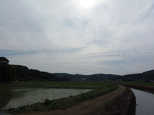 川9