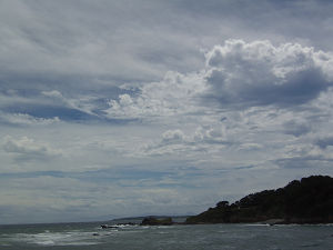 空2