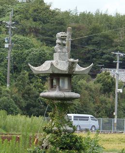 ひめ1