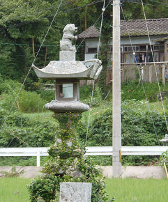 ひめ8