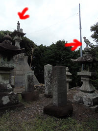 本宮6