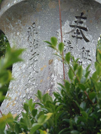 本宮8