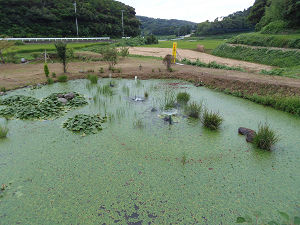 里1
