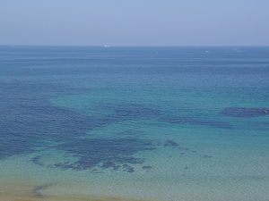 海4