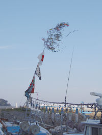 祭8