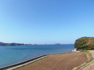 海1