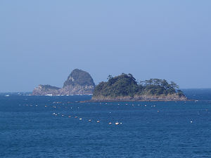 海2
