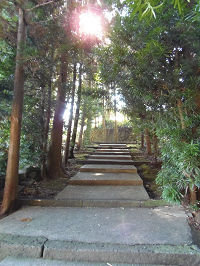 寺4