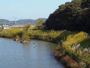 川4