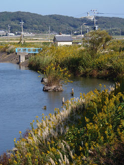 川7