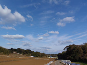 空2