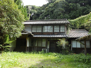 医5