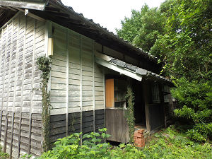 医6