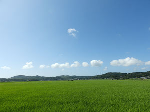 姫4