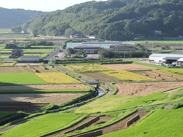 景5