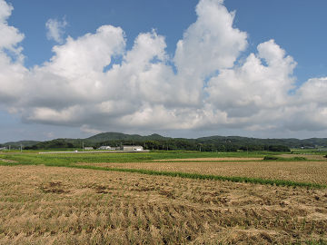 景1