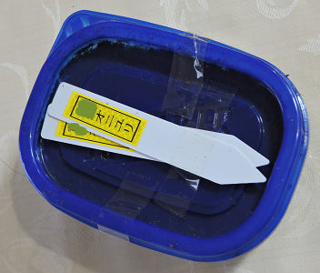庭1