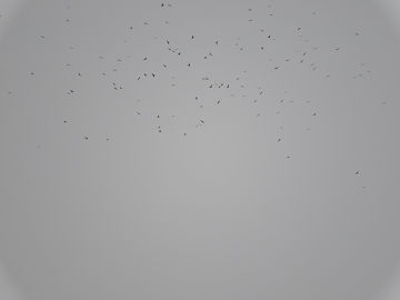 鳥6