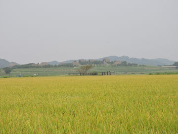 景2