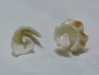 貝2